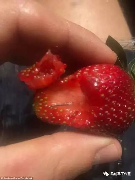 婢冲ぇ鍒╀簹鑽夎帗钘忛拡浜嬩欢鐪熺浉,婢冲ぇ鍒╀簹鑽夎帗钘忛拡浜嬩欢