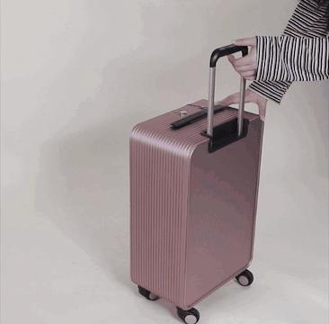 谢娜出行活动凯凯,马天宇谢娜互怼