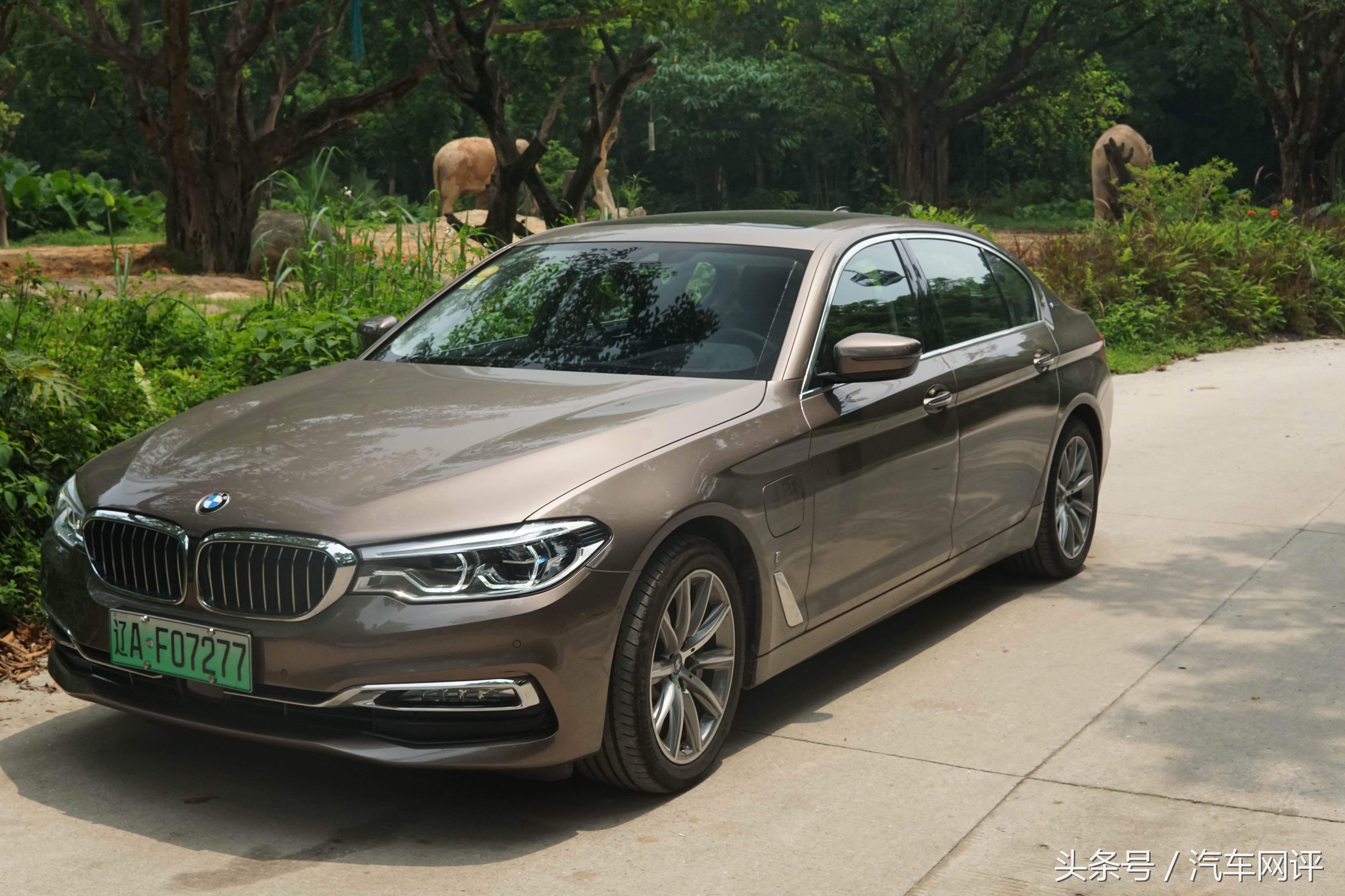 驾着宝马530Le去游玩长隆野生动物世界是一种怎样的体验？