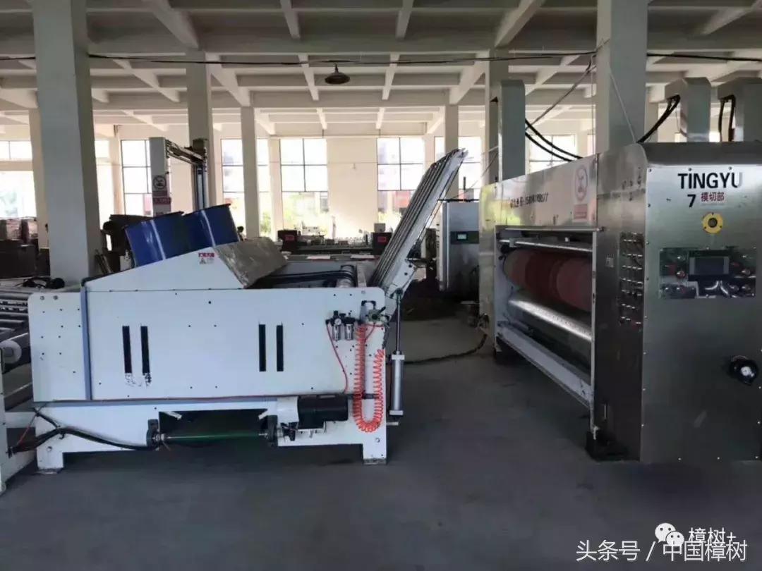 20岁老杨现状,老杨办了一家印刷厂