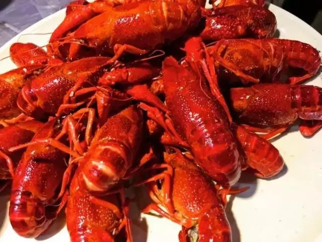 认真长胖，这里是一份精心测评的早秋贴膘报告