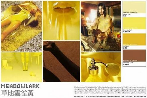 巴黎时装周t台模特展示,巴黎时装周彩色t台秀