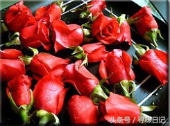 鲜花能做什么美食,鲜花可以用来做什么吃的