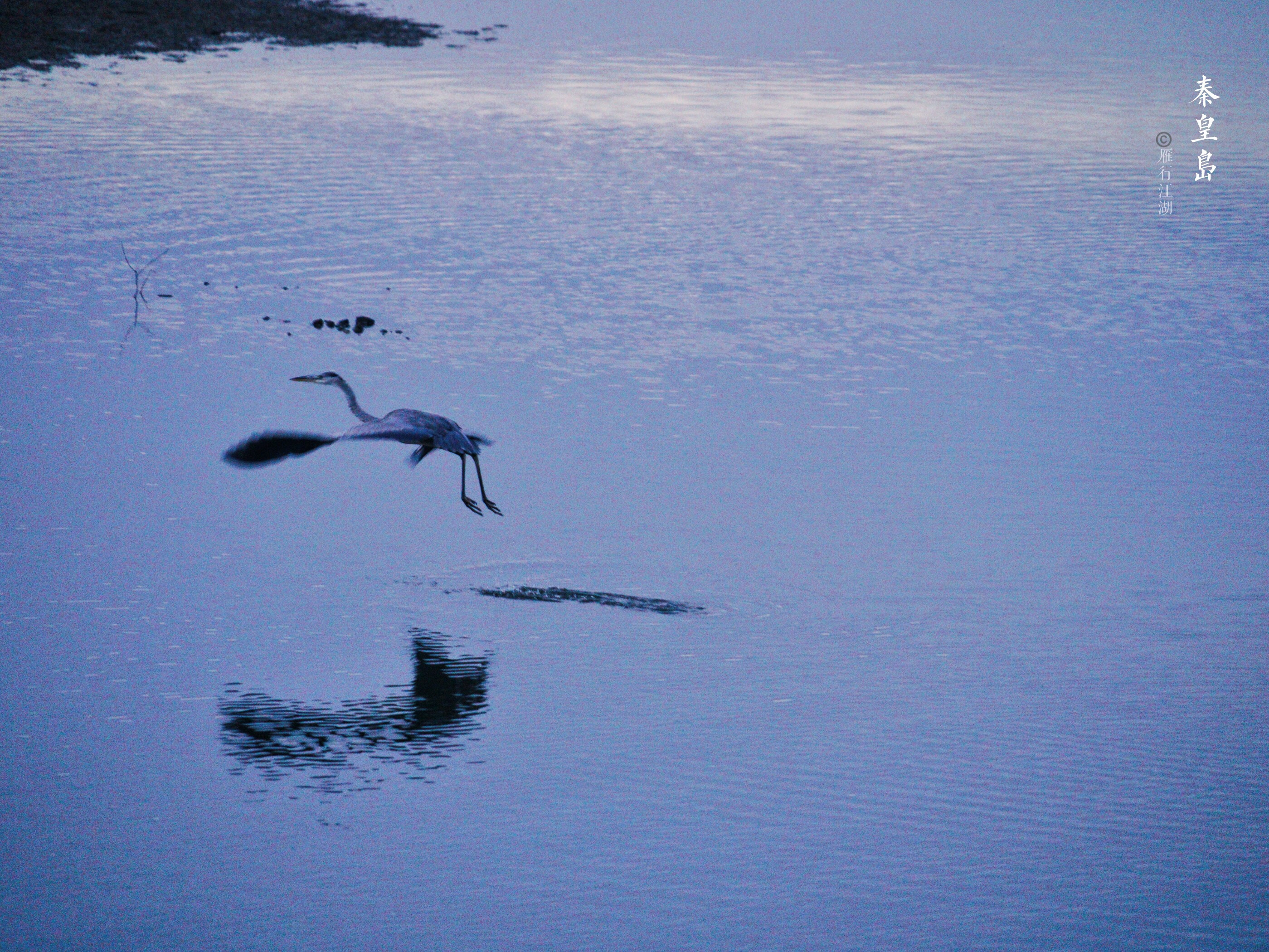 秦皇岛鸽子窝看日出攻略,秦皇岛动物园到鸽子窝