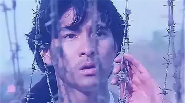 盘点刘德华出演过的经典电影,盘点刘德华八大战争片