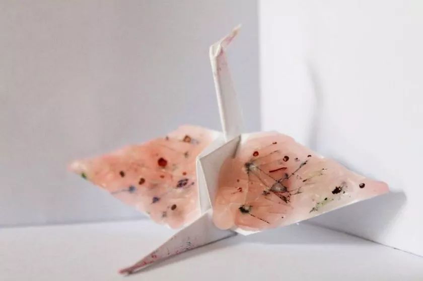 每天折一个千纸鹤,每天折一只纸鹤