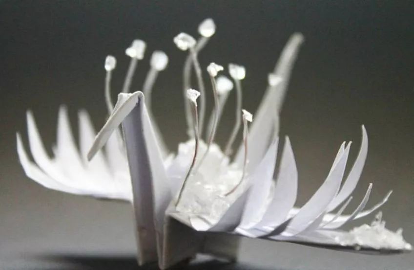 每天折一个千纸鹤,每天折一只纸鹤