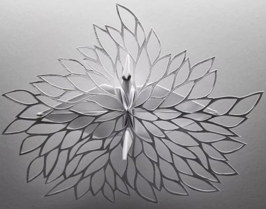 每天折一个千纸鹤,每天折一只纸鹤