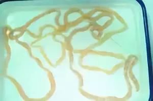 这是一个忧伤的故事英文,这是个忧伤的故事