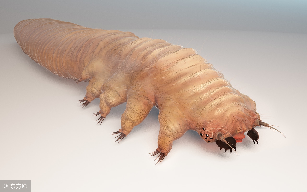 秋天螨虫怎么消除,脸上有螨虫小编教你一招解决螨虫