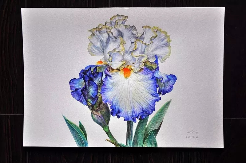 她画的超写实水彩花卉美到窒息,让人惊艳的水彩画