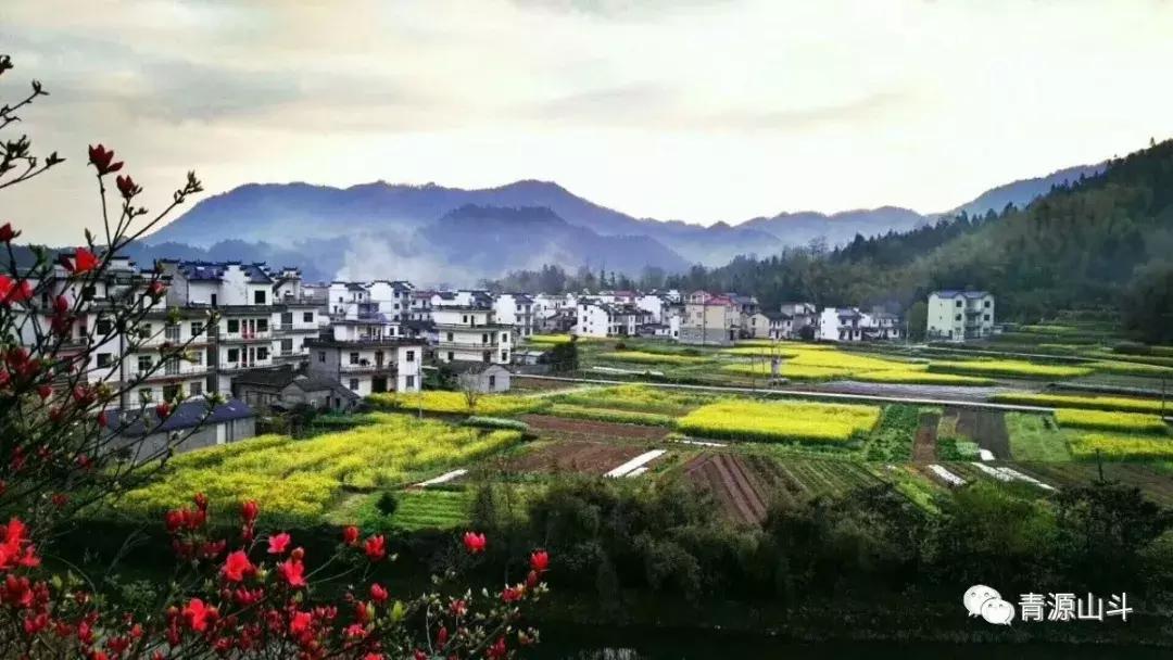 三峡猕猴桃 (中国农民丰收节博山猕猴桃)