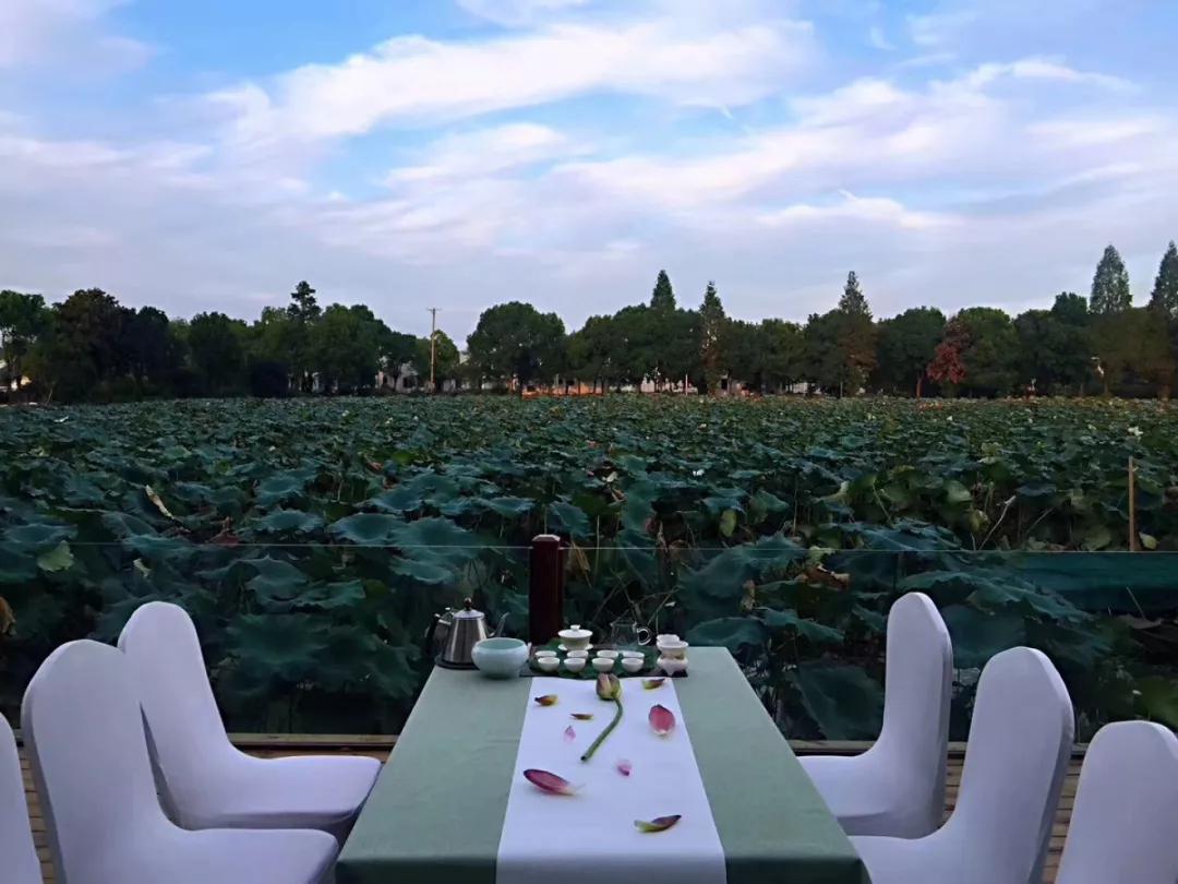 家乡魅力秀：武汉慧心雅社演绎东湖民间祭月，媲美古装实景大剧