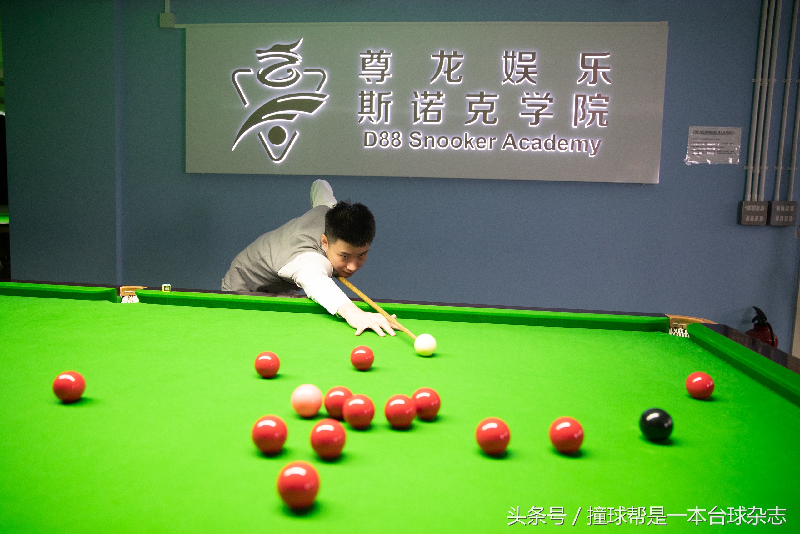 马克威廉姆斯技术特点,马克威廉姆斯成长之路