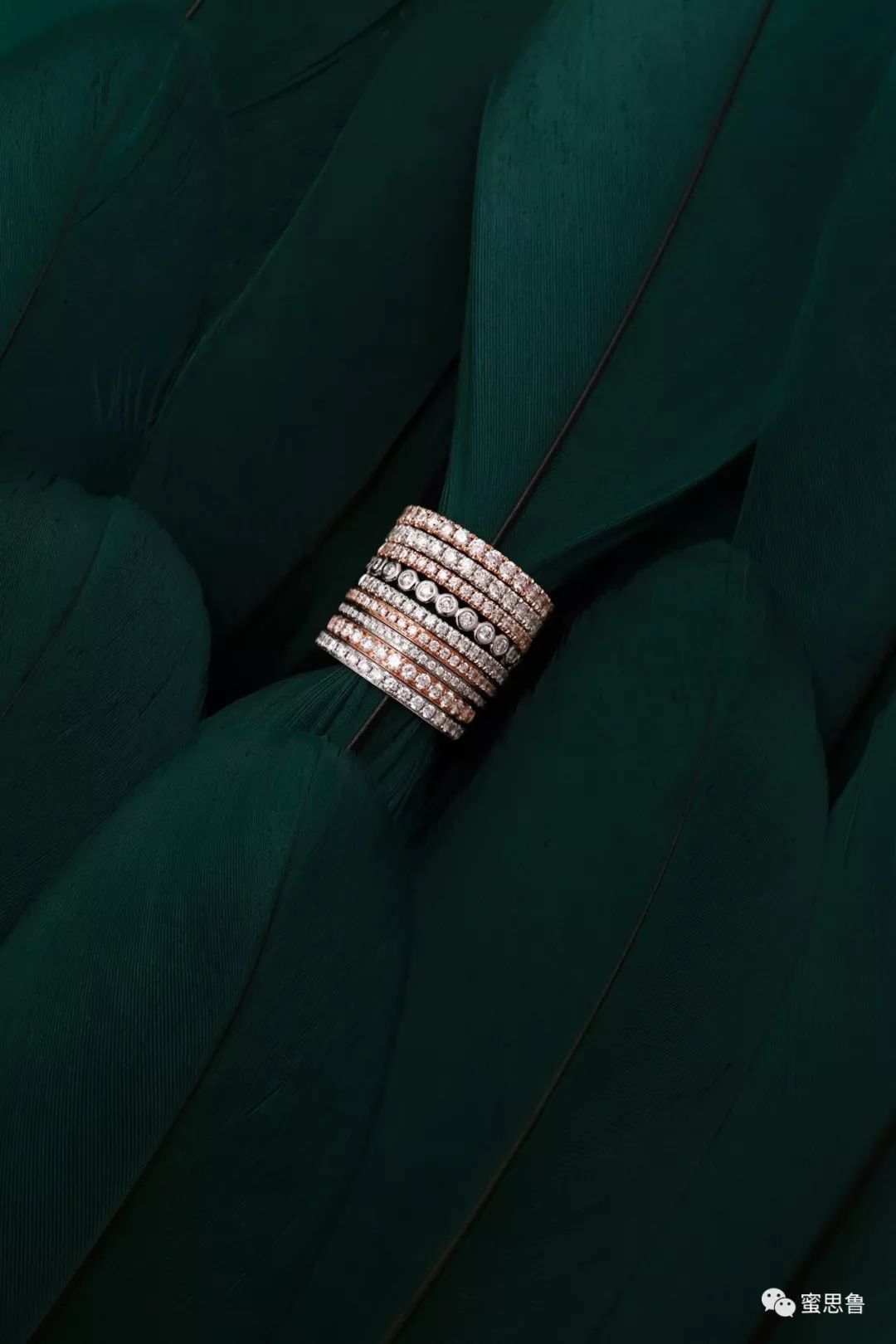 她是苏小糖，城里最会生活的摄影师：如何忙碌，都不曾错失生活