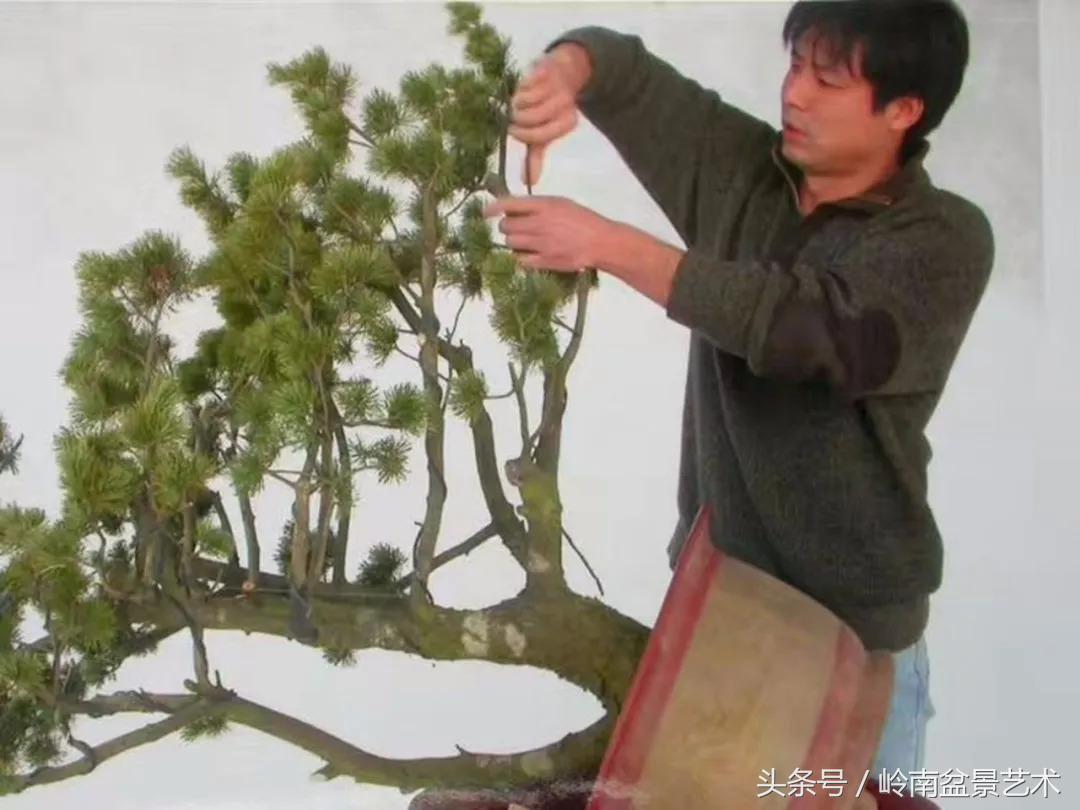 神来之笔绘画作品欣赏,神来之笔书法作品大全