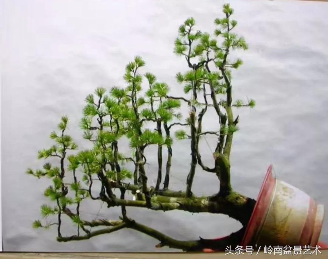 神来之笔绘画作品欣赏,神来之笔书法作品大全