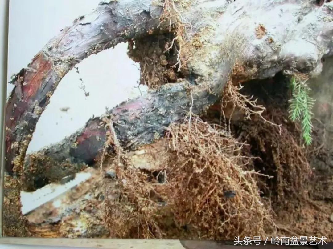 神来之笔绘画作品欣赏,神来之笔书法作品大全