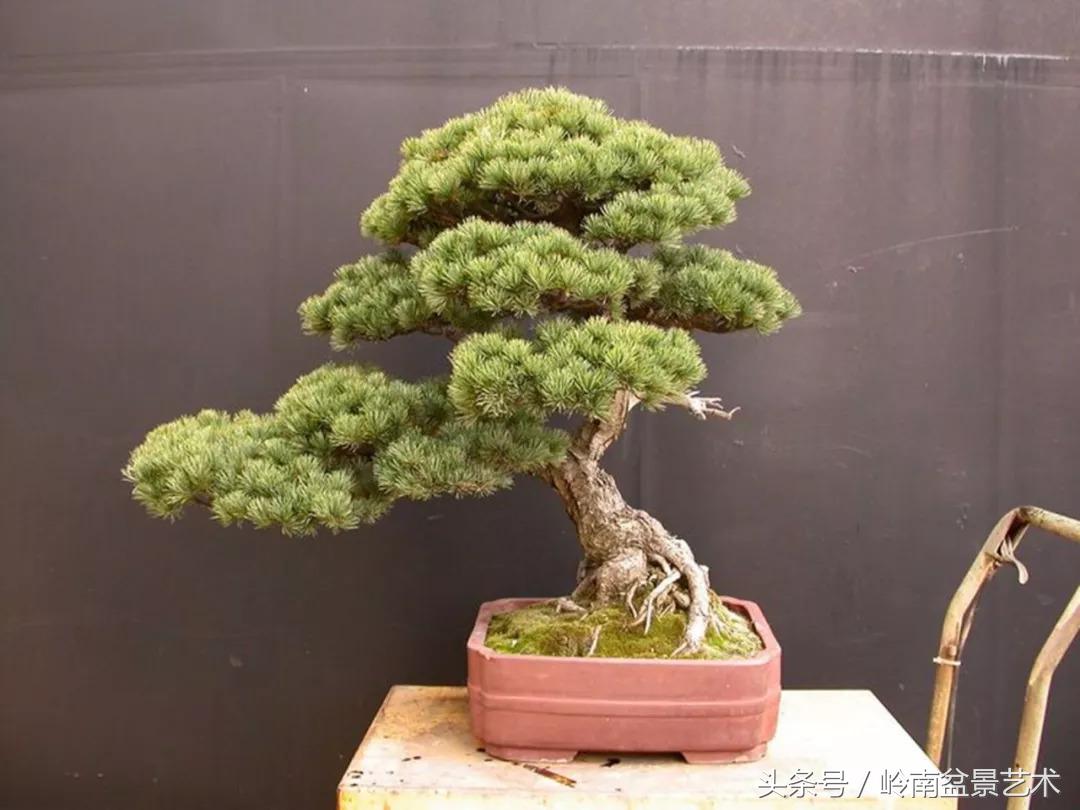 神来之笔绘画作品欣赏,神来之笔书法作品大全