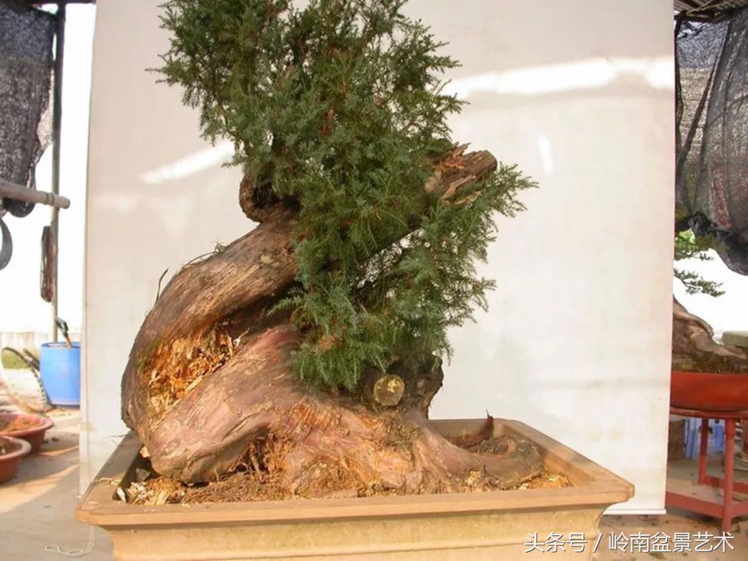 神来之笔绘画作品欣赏,神来之笔书法作品大全