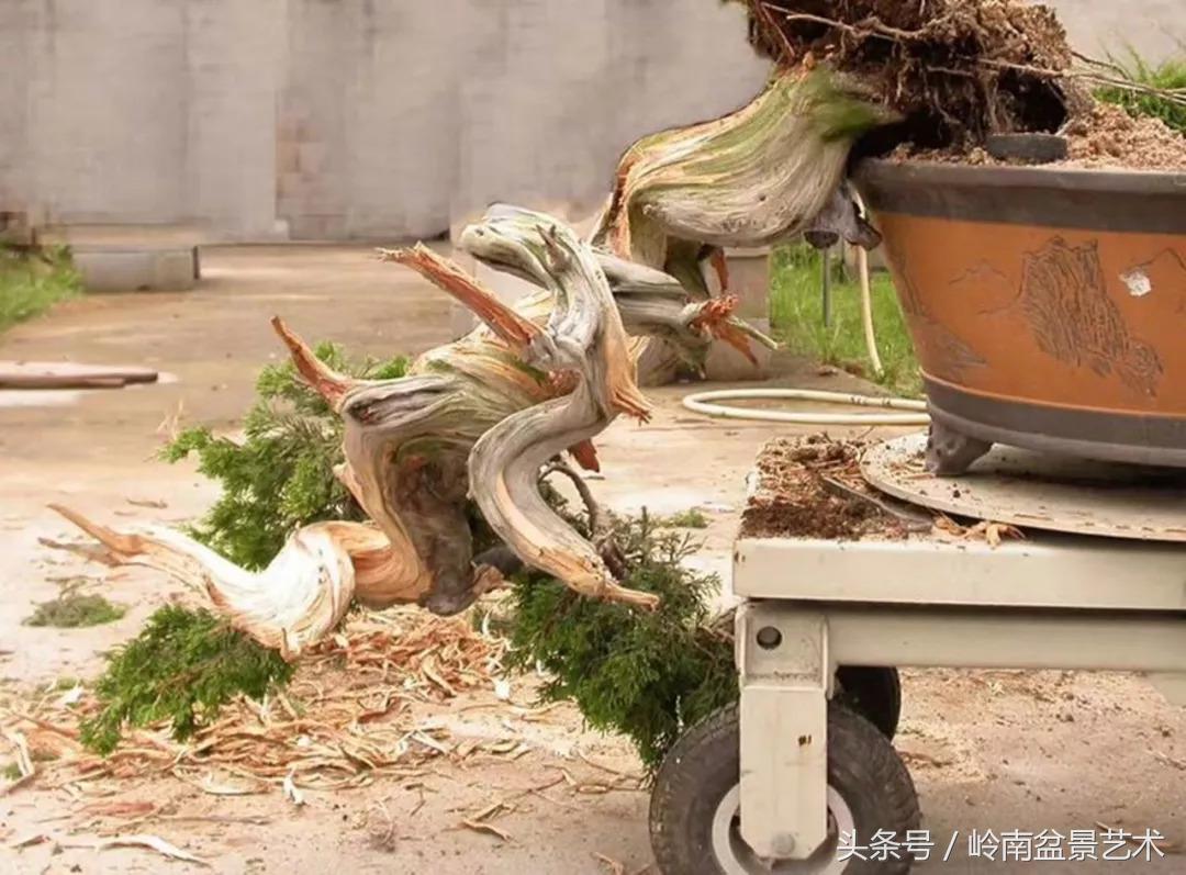 神来之笔绘画作品欣赏,神来之笔书法作品大全