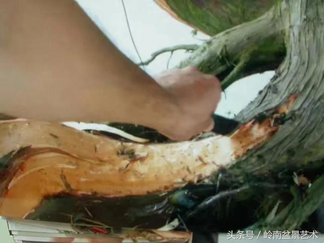 神来之笔绘画作品欣赏,神来之笔书法作品大全