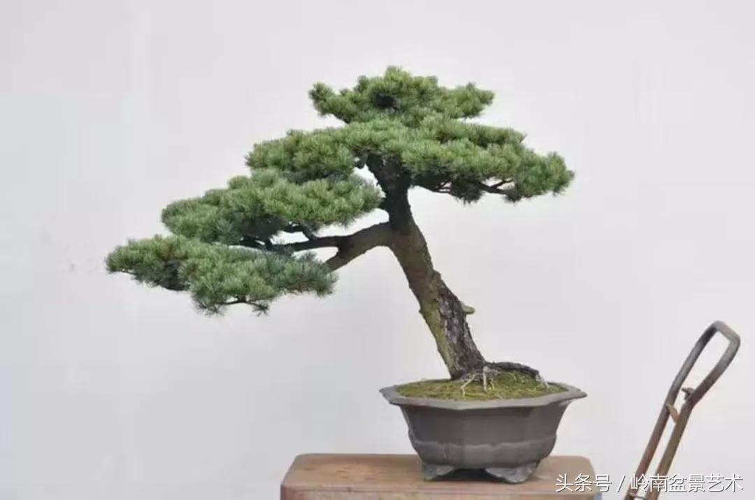 神来之笔绘画作品欣赏,神来之笔书法作品大全