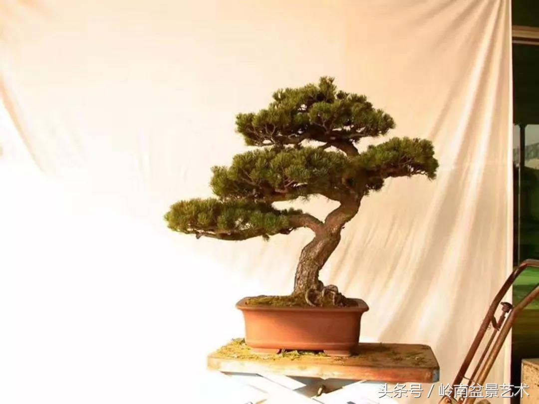 神来之笔绘画作品欣赏,神来之笔书法作品大全