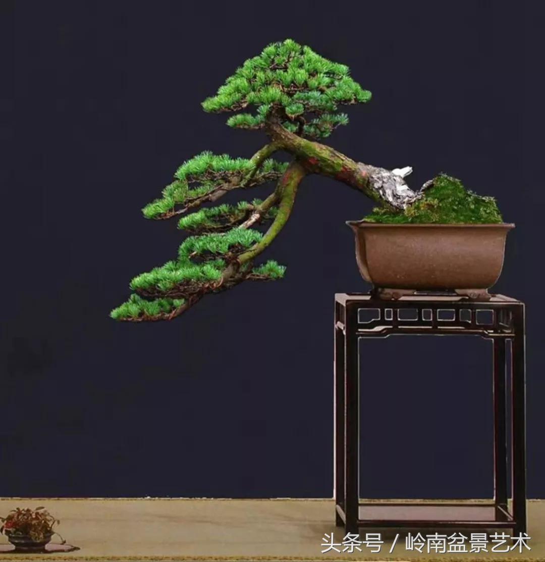 神来之笔绘画作品欣赏,神来之笔书法作品大全