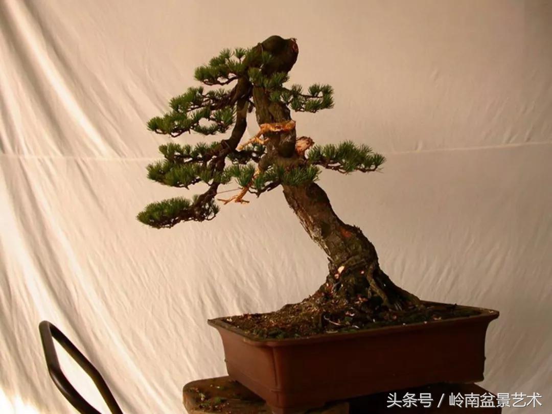 神来之笔绘画作品欣赏,神来之笔书法作品大全