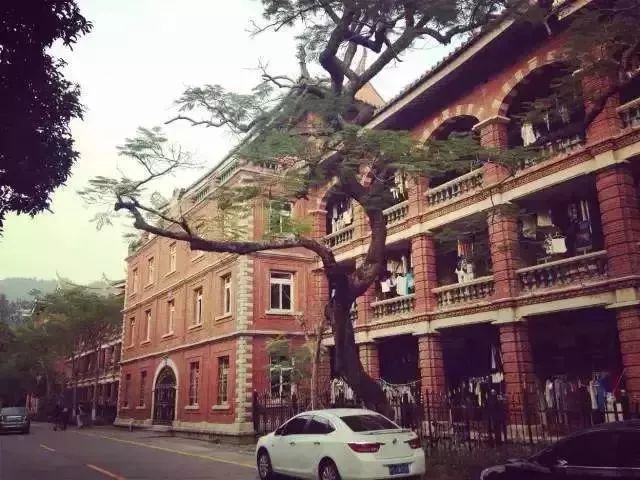 厦门10个最值得去的景点,厦门这几个景点是游客心中的圣地