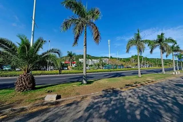 厦门10个最值得去的景点,厦门这几个景点是游客心中的圣地