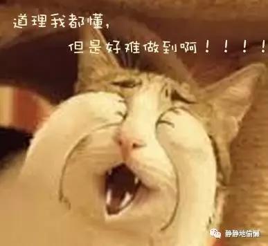 打呼噜怕影响别人不敢睡,打呼噜吸气有声呼气没声