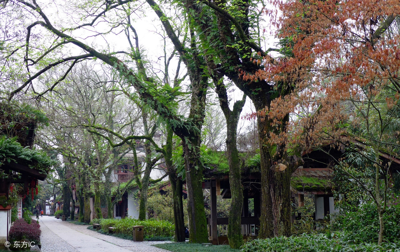 怎么经营一所学校,如何经营一个好学校