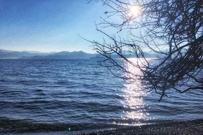 云南八日：看我家帅气小哥哥如何拍照？网友：花痴也要有限度