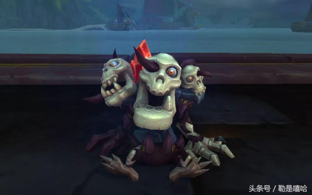 魔兽世界各种稀有宠物排名,魔兽世界稀有宠物排行榜