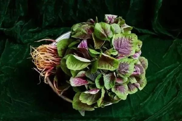 秋天适合旅游的地方易县,清西陵秋冬美景