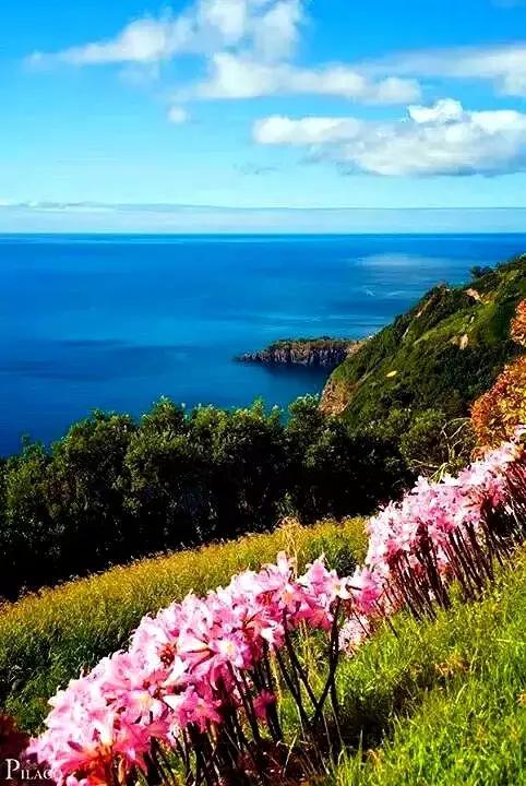 我喜欢旅行的原因,我喜欢旅行并不是因为贪恋风景