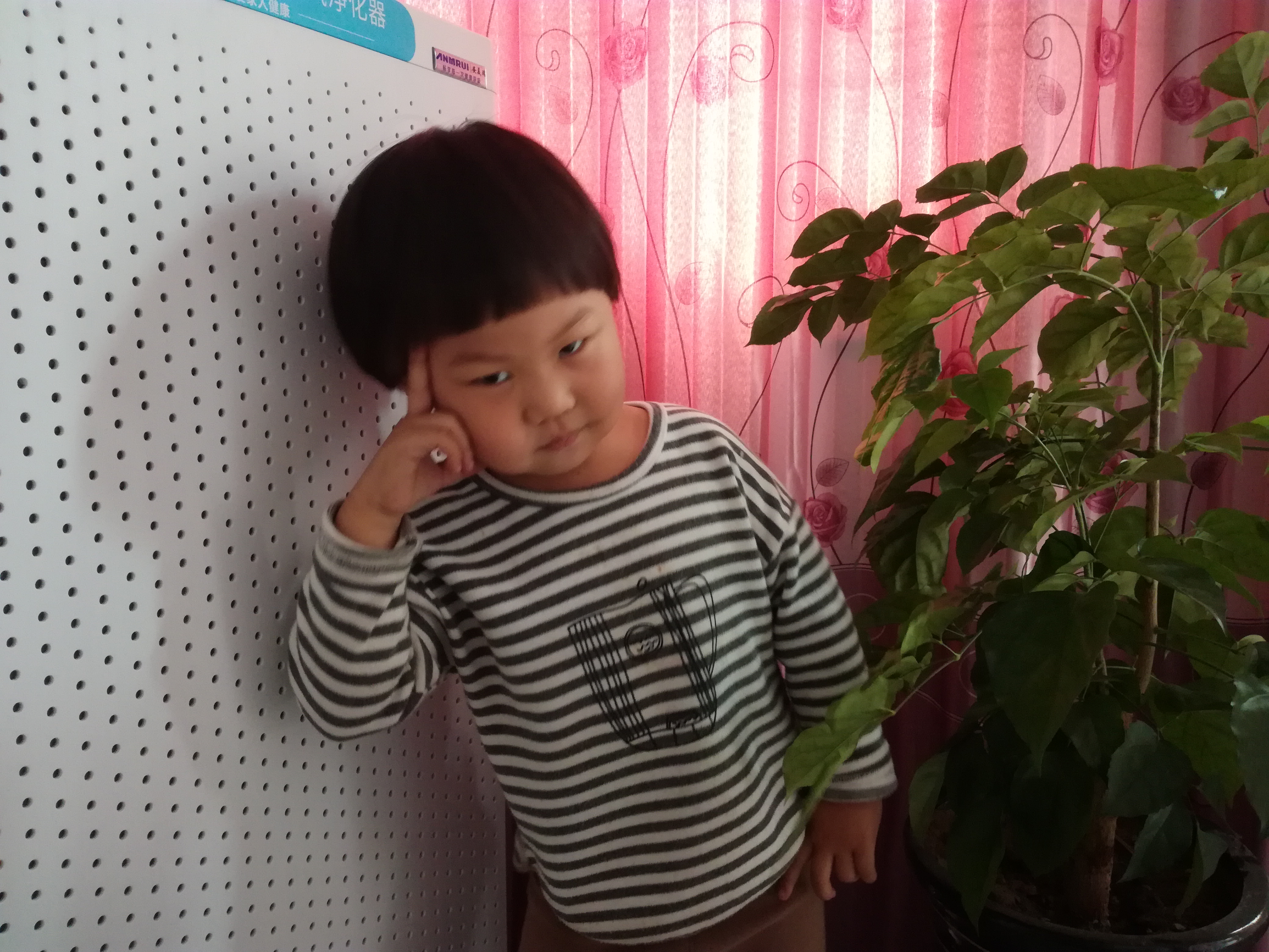 安美瑞x8宠物版净化器,安美瑞空气净化器x8宠物版