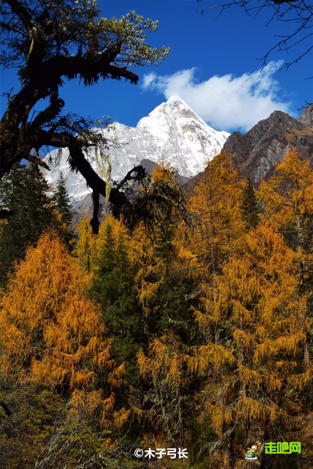 8条进藏绝美公路现在路况如何,进藏哪条路线风景最好