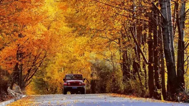 8条进藏绝美公路现在路况如何,一条绝美的进藏公路