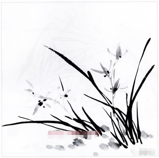 国画兰花的花头的画法,国画兰花画法小视频