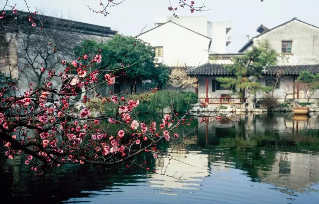 纵世间有百媚千红，唯你是我情之所钟｜《美在东方》歌舞晚会