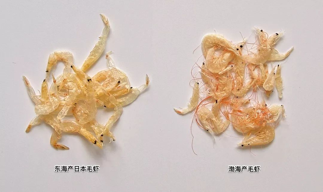 虾皮特级无盐补钙儿童,含钙量最高的食物排名虾皮和牛肉