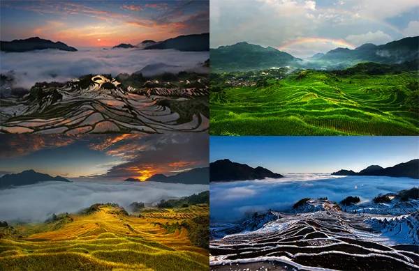 农秀才：农业农村部推荐100个休闲农业和乡村旅游精品景点线路