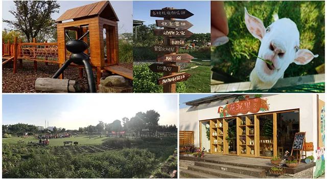 无锡阳山田园风光,无锡阳山东方田园游记