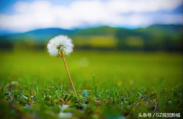 为什么摄影大师都喜欢拍黑白,为什么不推荐18-135的焦段