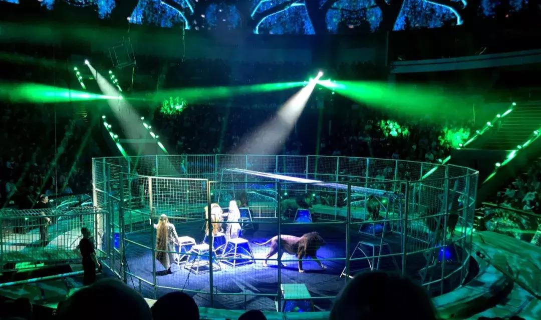 金士力俄罗斯,金士力俄罗斯之旅