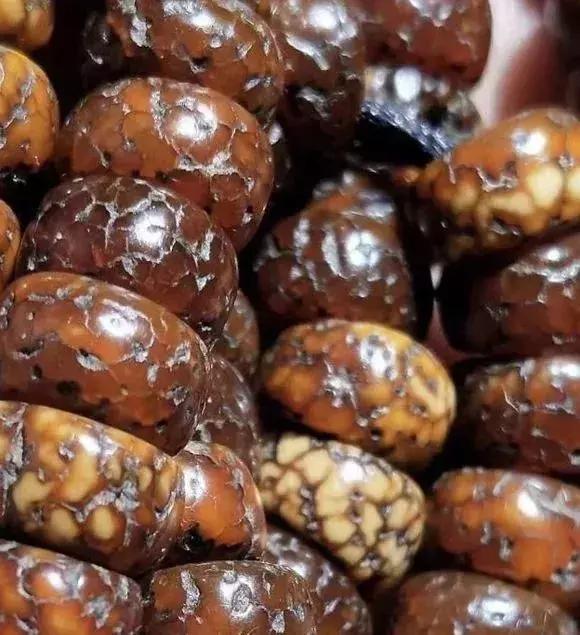 百年老星月手串,百年老星月盘玩视频