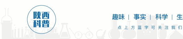 荔枝病为什么那么多,如何缓解荔枝病